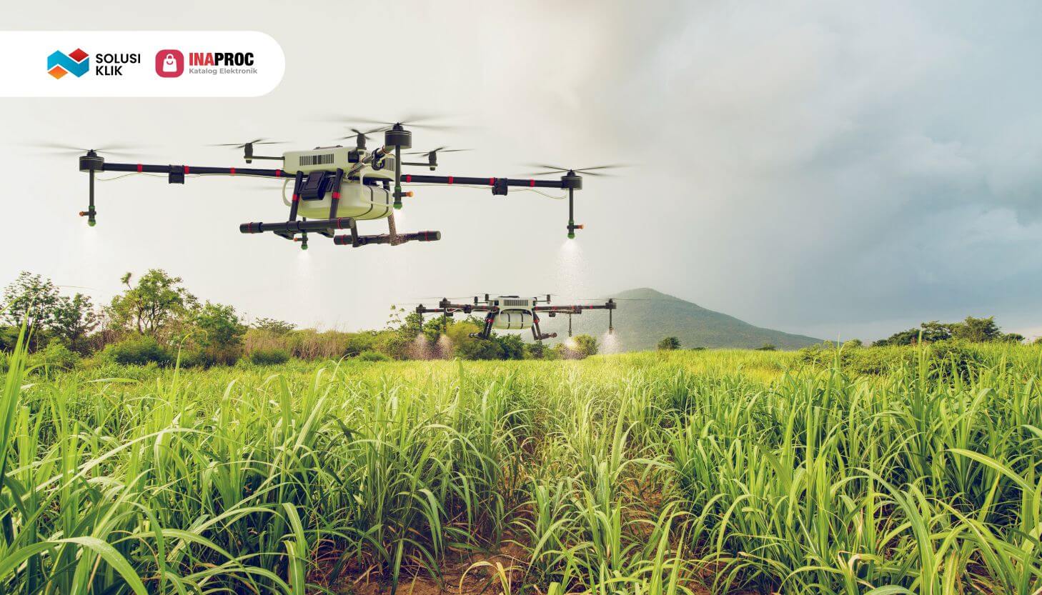 3. SEO Drone Pertanian (Biaya Pengadaan Drone Pertanian di Inaproc_)