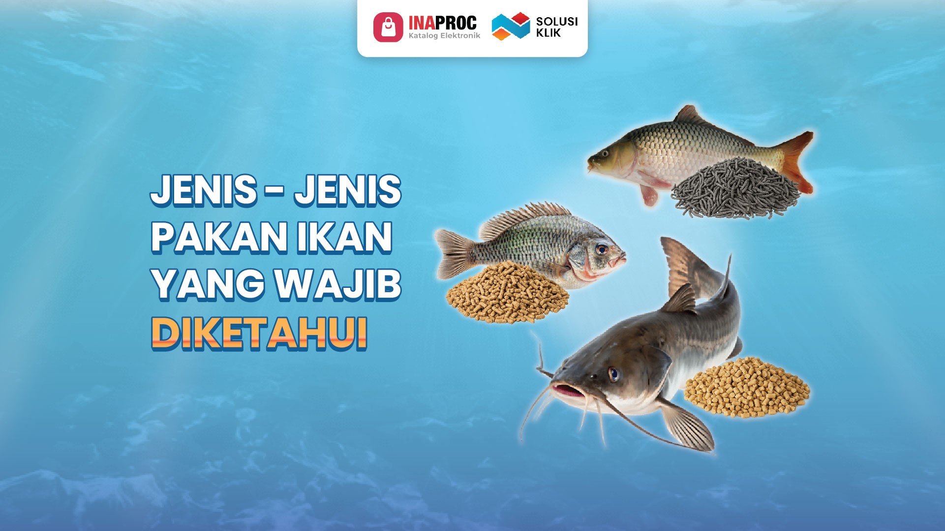 Jenis - jenis pakan ikan yang wajib diketahui-03