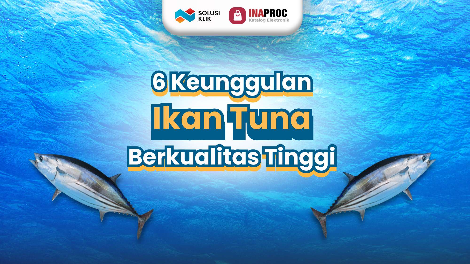 6 Keunggulan Ikan Tuna Berkualitas Tinggi