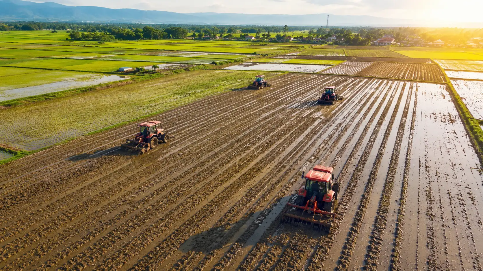 Modernisasi pertanian dengan beberapa traktor mengolah lahan sawah