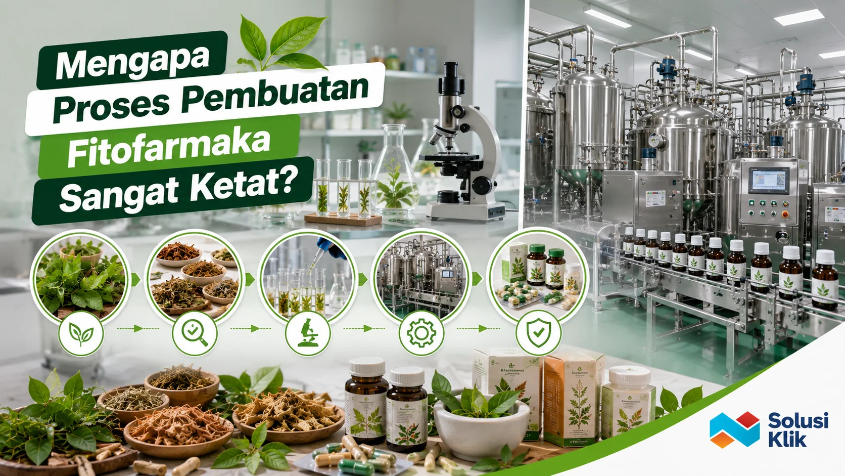 Proses pembuatan fitofarmaka dengan standar mutu dan pengujian kualitas yang ketat.